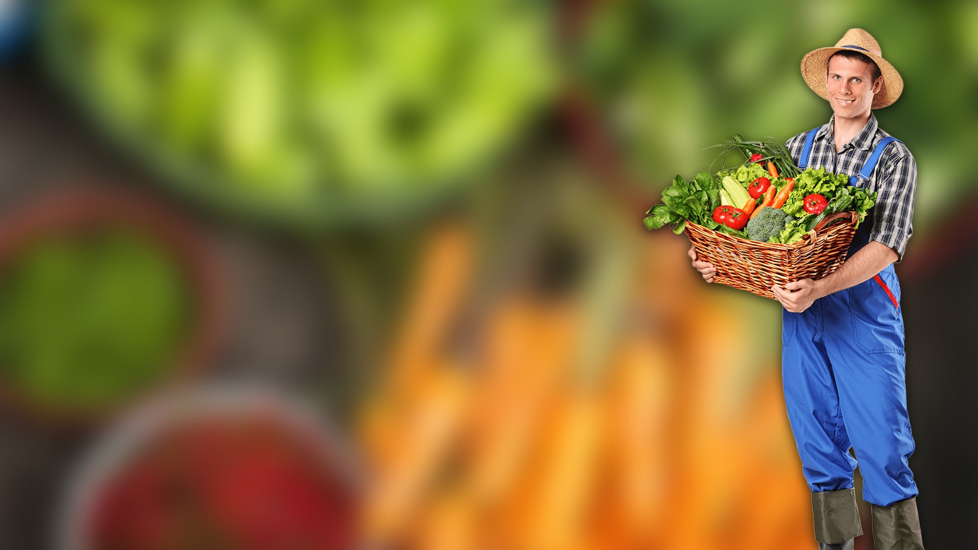 Sustainable farming