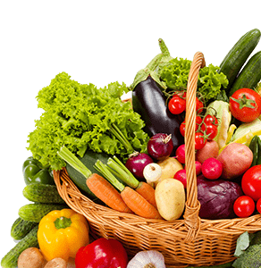 Vegetable Farming